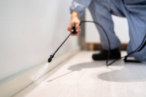 Licensed Cockroach Control service in Lewis County County, WA - Nex Pest Control
